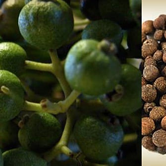 The "Magic" of Allspice