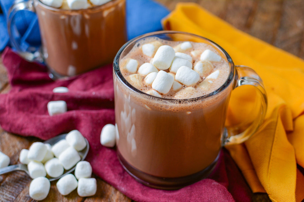 Hot Cocoa Maker  Gifts From Colorado